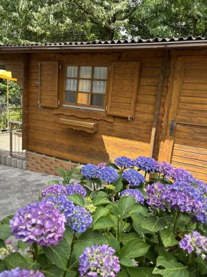 Haus mit Garten in Marburg ( Kernstadt ) Erstbezug nach Sanierung