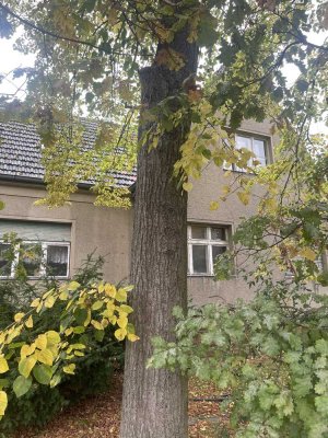 ,Handwerker-Schnäppchen-Mahlow,Bln.Grenze -an- aufbaufähig- Baugrundstück