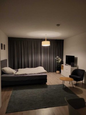 Helle 1-Zimmer Wohnung im 2. OG mit Aufzug in Frankfurt-Rödelheim