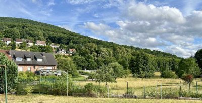 Renovierte, 3-Zimmer-EG-Terrassenwohnung mit Einbauküche in Miltenberg