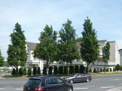 Möbliertes, gepfelgtes Appartement, ideal für Studenten, Nähe Universität, Singels und Pendler