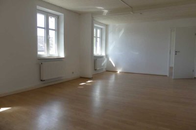 Helle Grosszügige 4-Zimmer Wohnung mit Kachelofen +Tageslichtbad
