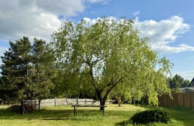 Naturoase mit Stil: Bungalow, Pool & Platz für Mensch und Tier auf traumhaftem Grundstück