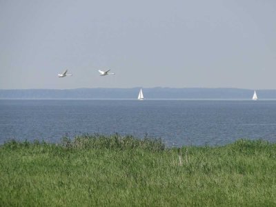Seebad Einfamilienhaus zwischen Ostsee-Lagune und Ueckermünder Heide