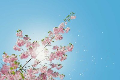 Frühling in Hamburg-Rotherbaum