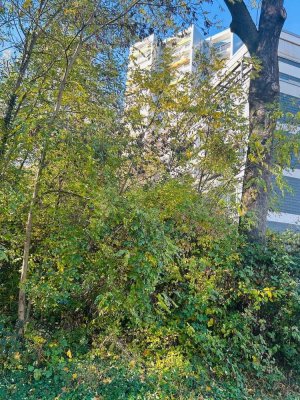 Über den Dächern von Bad Homburg ETW 3 Zimmer