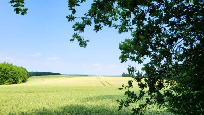 Bauen im Landstrich der Lübecker Bucht