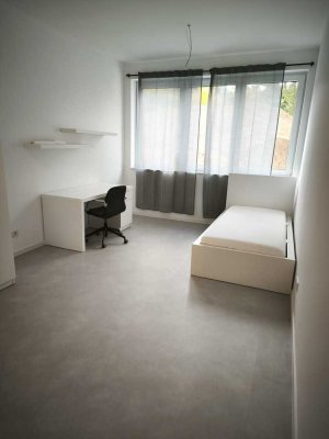 neues 1-Zimmer Apartment in Gießen