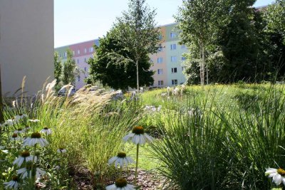 Helle 2-Raum-Wohnung in den Sonnensteiner Höfen