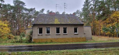 6 Ferienwohnungen im "Försterhaus"  mit Scheune im Wald auf 8600m² mit Waldfläche