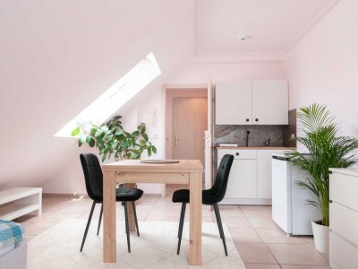 Stilvoll möbliertes 1-Zimmer-Apartment am Fuße der Weinberge von Bodenheim