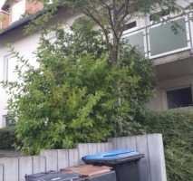 173.04 3 ZKB Wohnung Am Armenberg. 10 in Nentershausen Besichtigung: