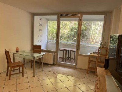 Frisch renovierte möblierte 1-Zimmer-Wohnung mit neuer EBK in Eppstein