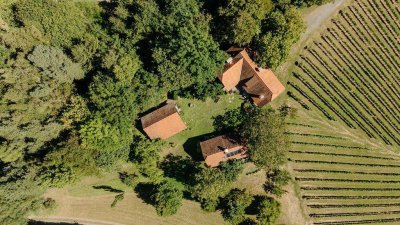 Hoch über den Reben – Traumhaftes Weingut in der Südsteiermark