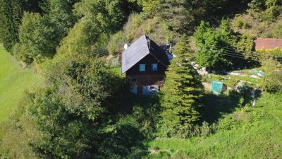 9413 St.Gertraud/Prössinggraben Wald. und Wiesenliegenschaft mit Holzhaus