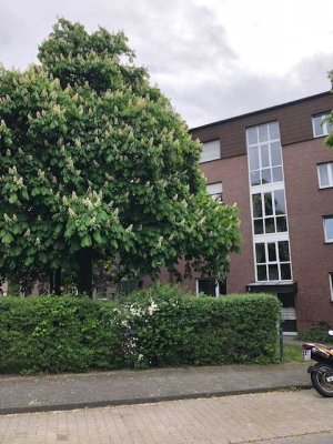 Helles 2-Raum Appartement mit großem Balkon