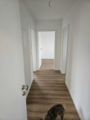 Frisch sanierte 3-Zimmer-Wohnung mit Balkon in Brackel