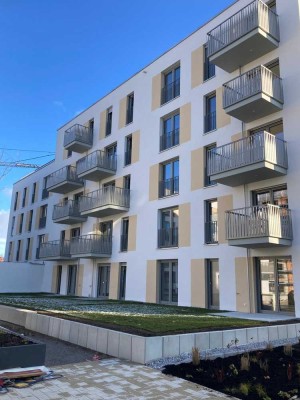 Drei Zimmer und ein Garten in der Parkstadt Engelhalde (Erstbezug)