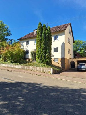 Neu renovierte 3-Zimmer-Dachgeschosswohnung