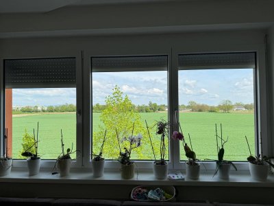 3-Zimmer-Wohnung mit Balkon &amp; Tiefgaragenplatz in zentraler Lage von Wels