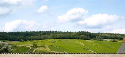 Lichtdurchflutete große 1-Zimmer-Wohnung mit großer Küche inkl. EBK, Südwestbalkon und Ankleide