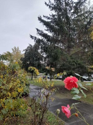 Wohnberechtigungsschein erforderlich - Gut geschnittene 2-Raum-Wohnung zu vermieten