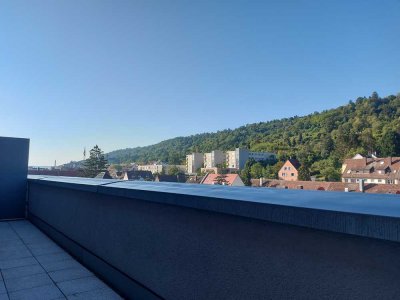 Stilvolles Penthouse mit Panorama-Ausblick in Stuttgart-Wangen