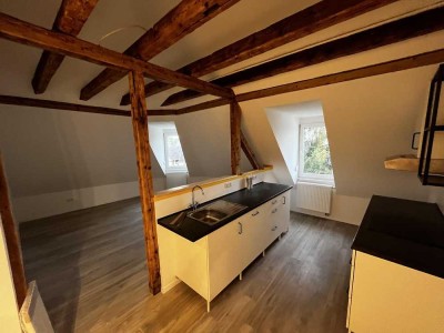 Traumhafte Loft-Wohnung am Schwetzinger Schlossplatz