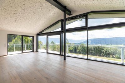 Blick zum Attersee