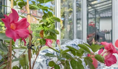 Raumwunder mit Wintergarten, Kamin und Sauna