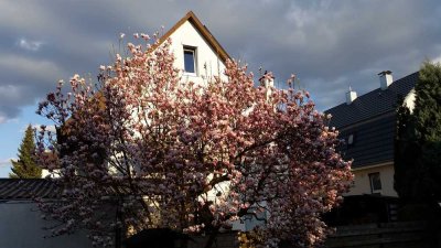 6-Zimmer-Einfamilienhaus mit EBK, Terasse, Garten, Hof, Balkon in Reutlingen