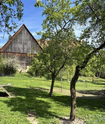 Charmantes Bauernhaus im Dornröschenschlaf mit großem Garten in Dachsbach
