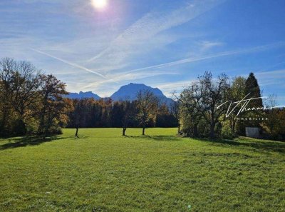 Mega-Mietwohnung mit Traunsteinblick.