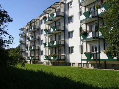 Blick ins Grüne – Sanierte 2-Raum-Wohnung mit großem Balkon u. Badewanne