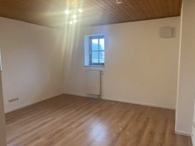 Stilvolle, geräumige und gepflegte 1-Zimmer Wohnung