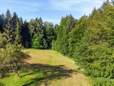 Haus mit großem Grund und Wald in Alleinlage