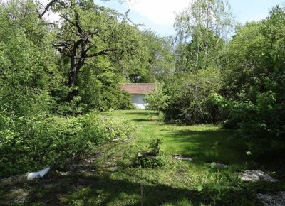 Toni-Sender-Straße 1, 65936 Frankfurt