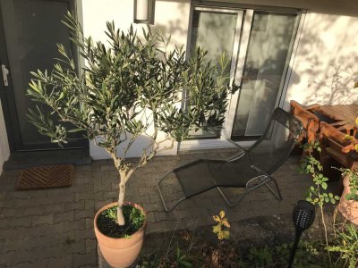 Schöne zwei Zimmer Wohnung in Ludwigsburg (Kreis), Bietigheim-Bissingen