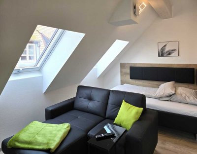 Geräumiges Single-Apartment ab 01.06. wohnlich möbliert & voll ausgestattet, top Lage in Obernburg