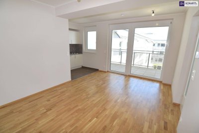 Coole 2 Zimmer Wohnung mit großer Loggia und perfekter Aufteilung - Schnell sein!!!