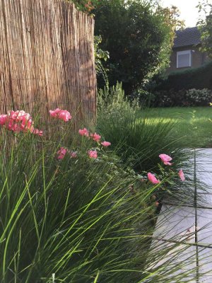 Schönes Reihenhaus in zentraler Lage von Neuss-Gnadental.  Von Privat