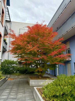 3-Zimmer Wohnung auf 2 Etagen mit *Einbauküche *Terrasse *Balkon *Tageslichtbad *Gäste-WC