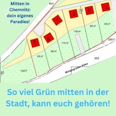 grünes Grundstück mitten in Chemnitz