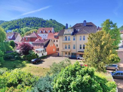 Komplett renovierte, bezugsfertige Wohnung in Zentrumsnähe mit toller Aussicht