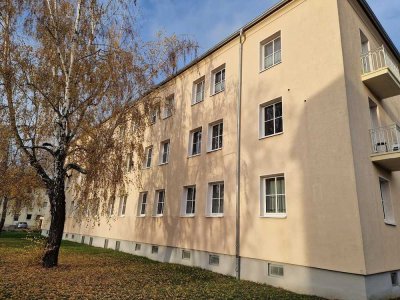 Gediegen wohnen in frisch renovierter Wohnung - Tageslichtbad, moderner Fußboden -