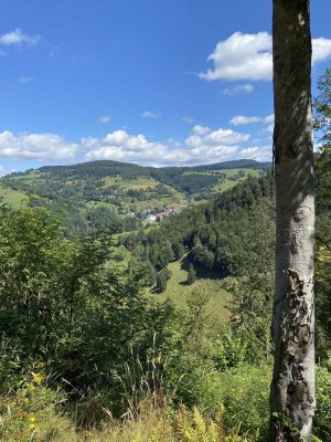 DG-Wohnung für Individualisten mit großem Balkon und EBK in Häg-Ehrsberg