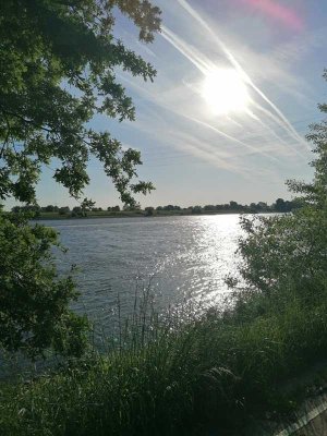 * Ein Haus mit vielen Möglichkeiten * und nur 5 Minuten zu Fuß  zum Rhein!