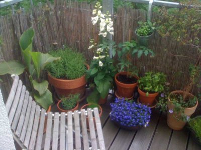 Helle 2 Zimmer Wohnung mit Balkon - 1.OG mit Lift