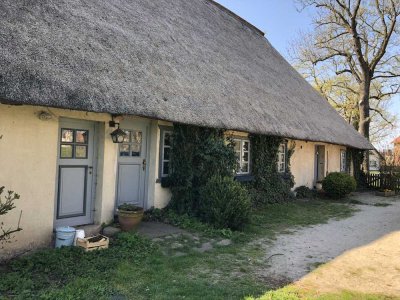� Charmante 4-Zimmer-Wohnung im Reetdachhaus mit Terrasse, Garten & Obstbäumen in Alt-Brenz