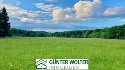 Naturidylle pur: Anwesen mit Wald, Wiese & Weitblick in der Eifel !